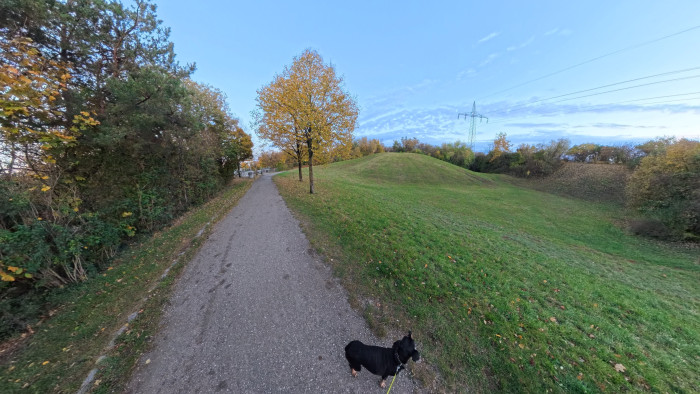 Foto-Aufnahme mit der X5 (Bild: Steinlechner / Golem)